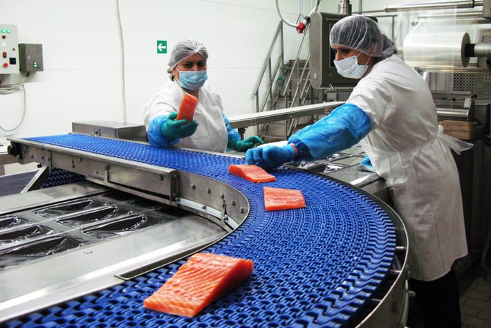 Елена Сергеевна, ЯППИ