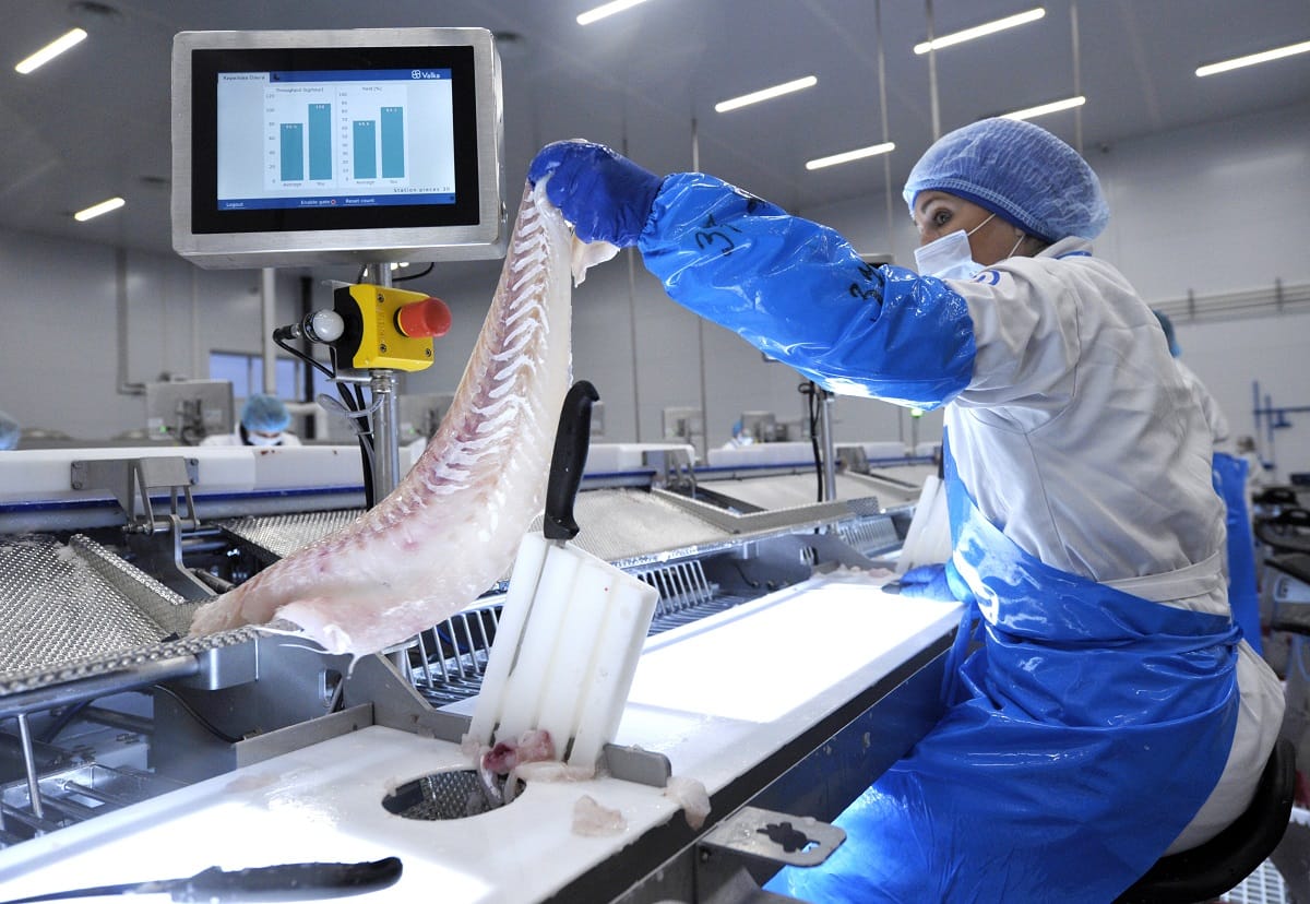 Андрей Меренков