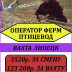 ООО"ЯППИ"